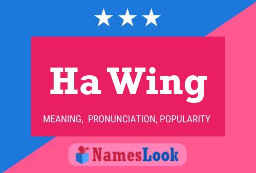 Ha Wing 名字海报