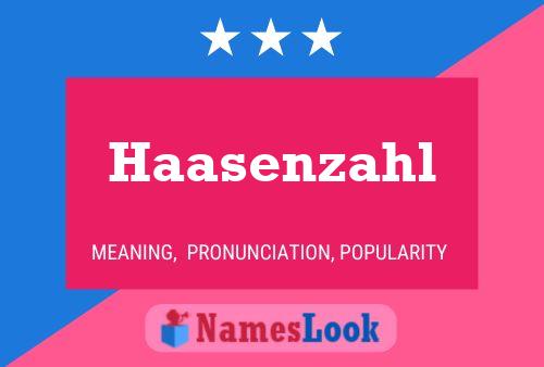 Haasenzahl 名字海报