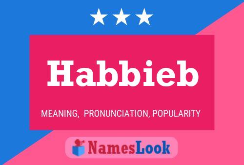 Habbieb 名字海报