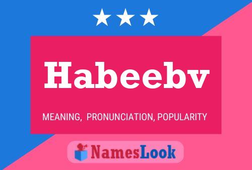 Habeebv 名字海报