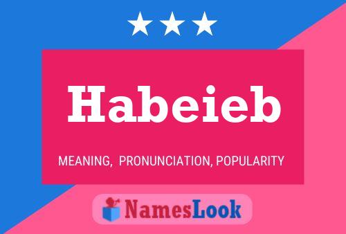 Habeieb 名字海报