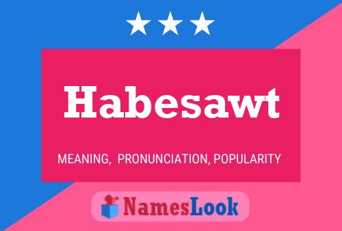 Habesawt 名字海报