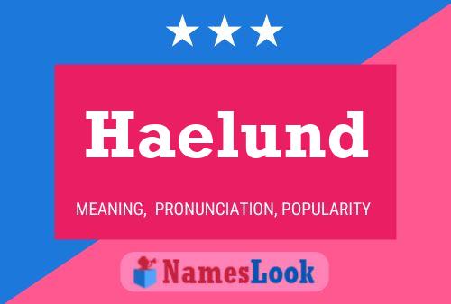 Haelund 名字海报