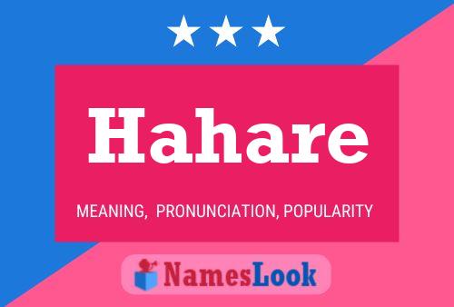 Hahare 名字海报