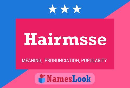 Hairmsse 名字海报