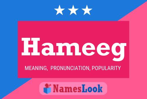 Hameeg 名字海报