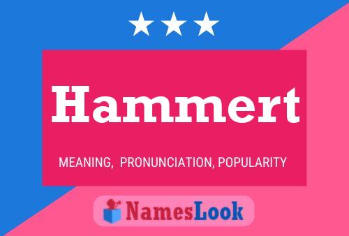 Hammert 名字海报