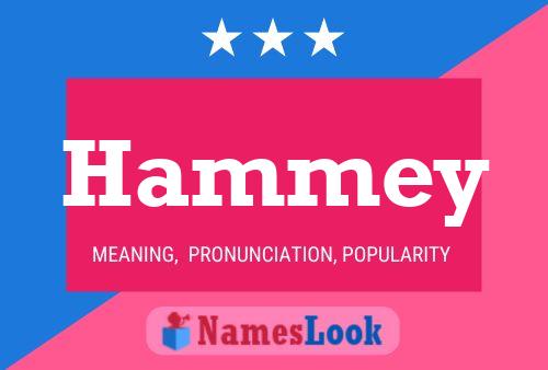 Hammey 名字海报