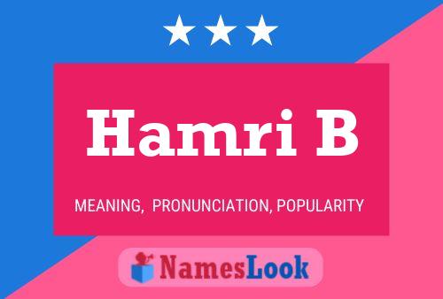 Hamri B 名字海报