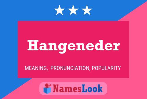 Hangeneder 名字海报