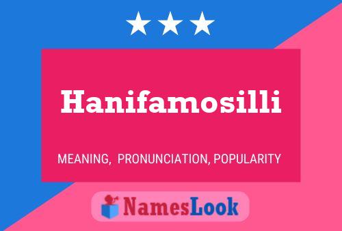 Hanifamosilli 名字海报