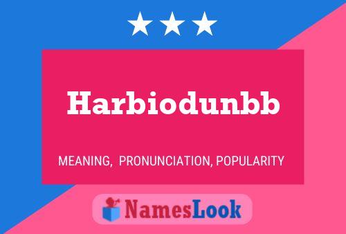 Harbiodunbb 名字海报