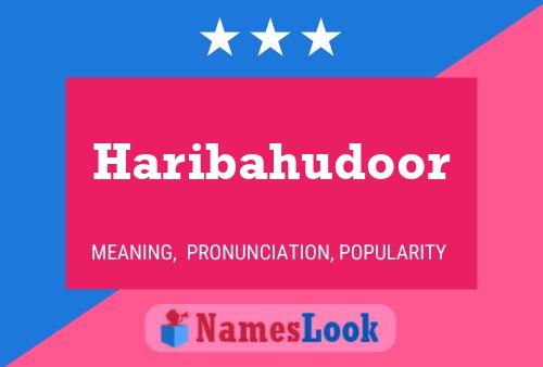 Haribahudoor 名字海报