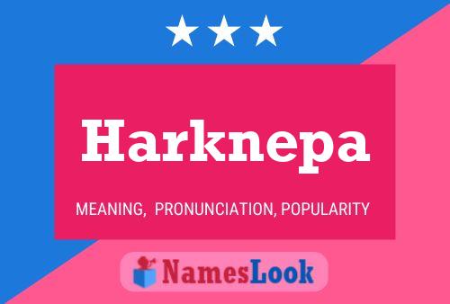 Harknepa 名字海报