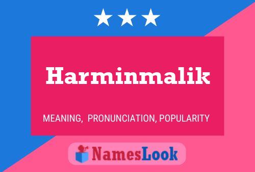 Harminmalik 名字海报