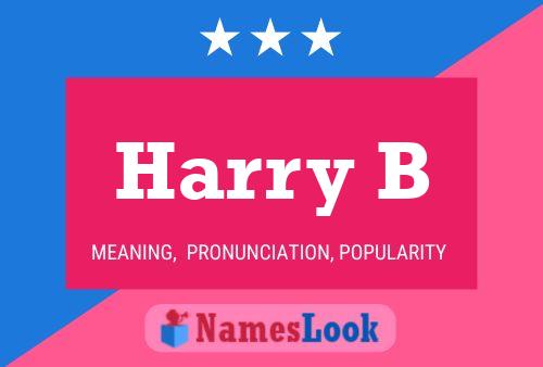 Harry B 名字海报