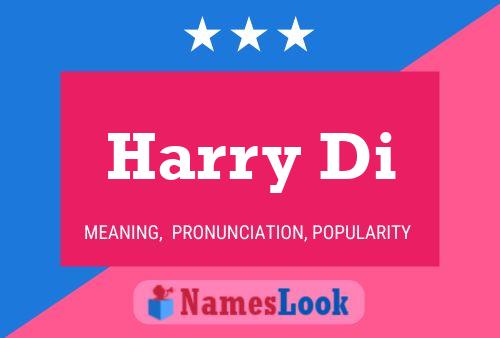 Harry Di 名字海报