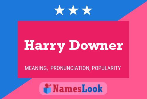 Harry Downer 名字海报