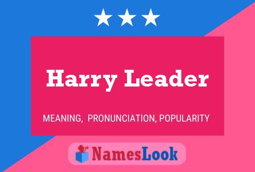 Harry Leader 名字海报