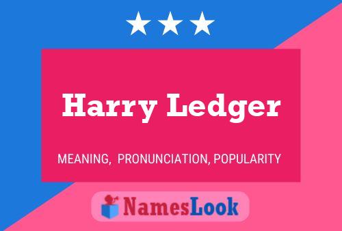 Harry Ledger 名字海报