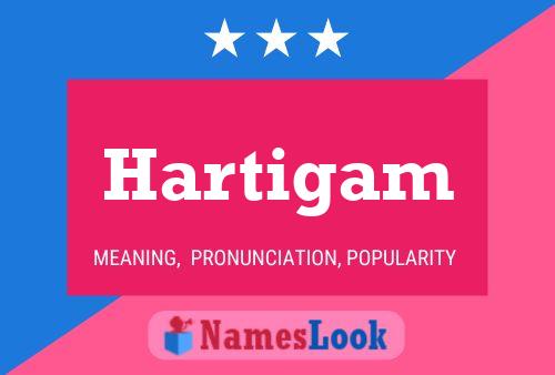 Hartigam 名字海报