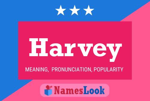 Harvey 名字海报