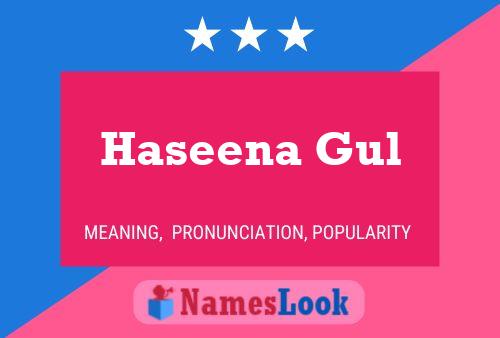 Haseena Gul 名字海报