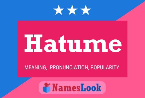 Hatume 名字海报