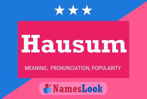 Hausum 名字海报