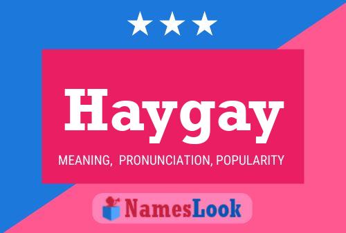 Haygay 名字海报