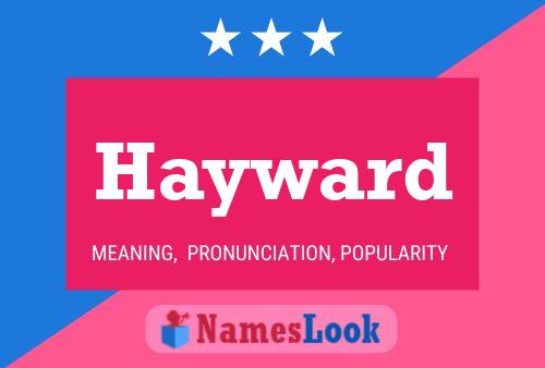 Hayward 名字海报