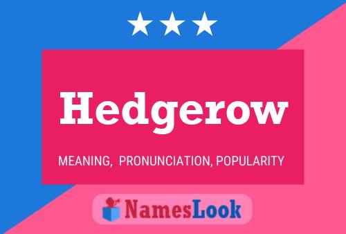 Hedgerow 名字海报