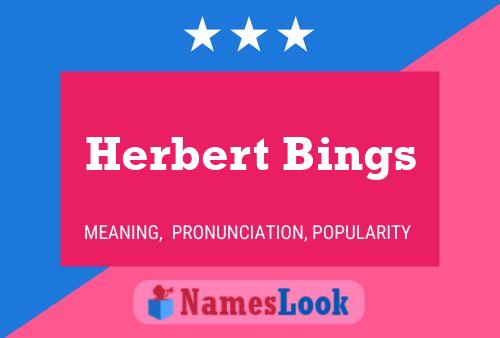 Herbert Bings 名字海报