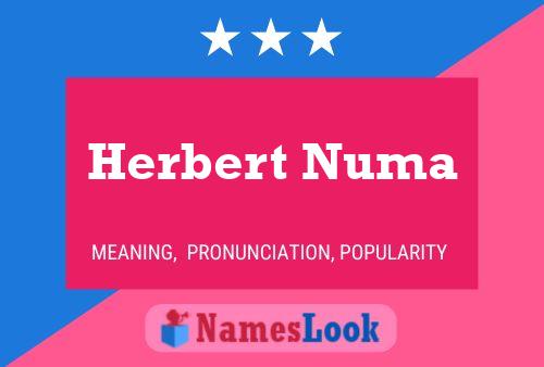 Herbert Numa 名字海报