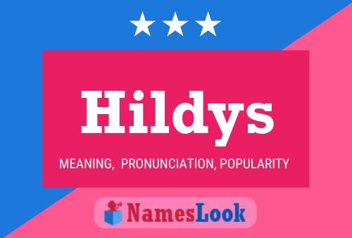 Hildys 名字海报