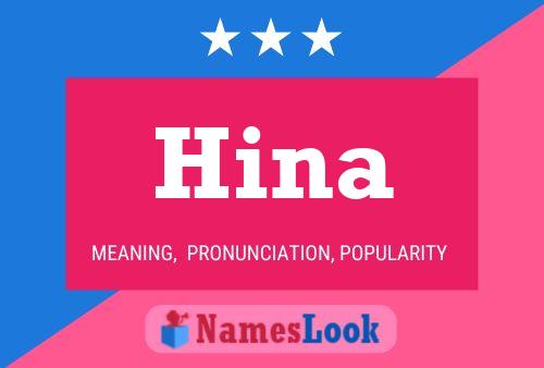 Hina 名字海报