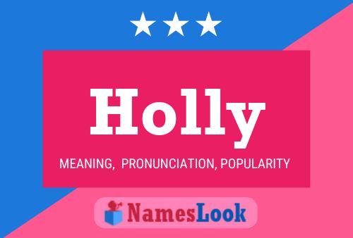 Holly 名字海报