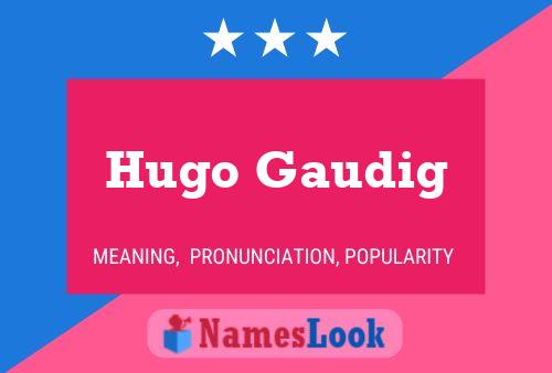 Hugo Gaudig 名字海报