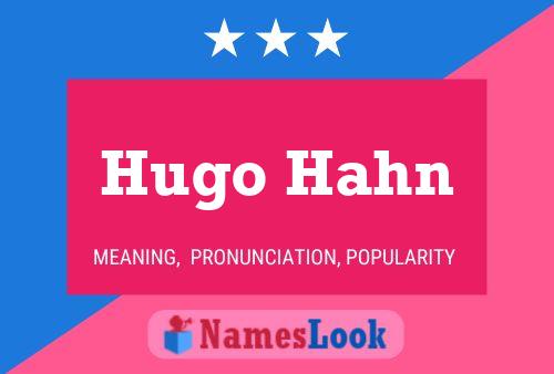 Hugo Hahn 名字海报