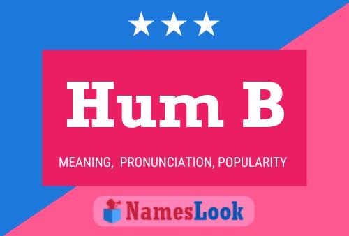 Hum B 名字海报