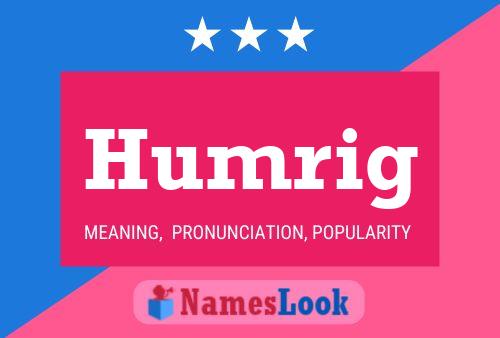 Humrig 名字海报