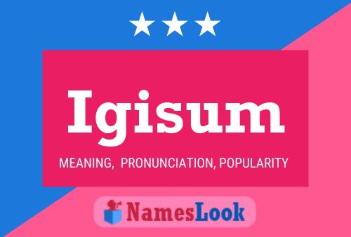 Igisum 名字海报