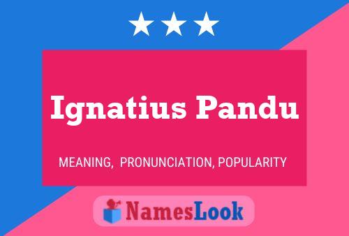 Ignatius Pandu 名字海报