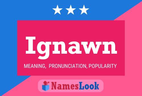 Ignawn 名字海报