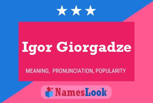 Igor Giorgadze 名字海报