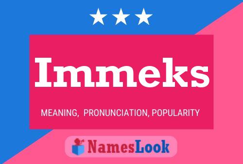 Immeks 名字海报