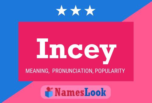 Incey 名字海报