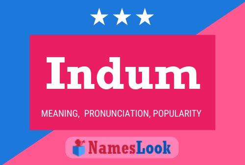 Indum 名字海报