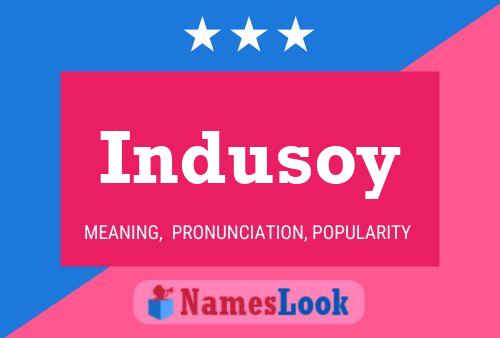 Indusoy 名字海报