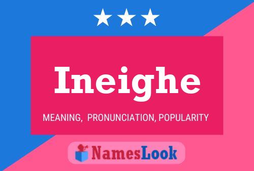 Ineighe 名字海报